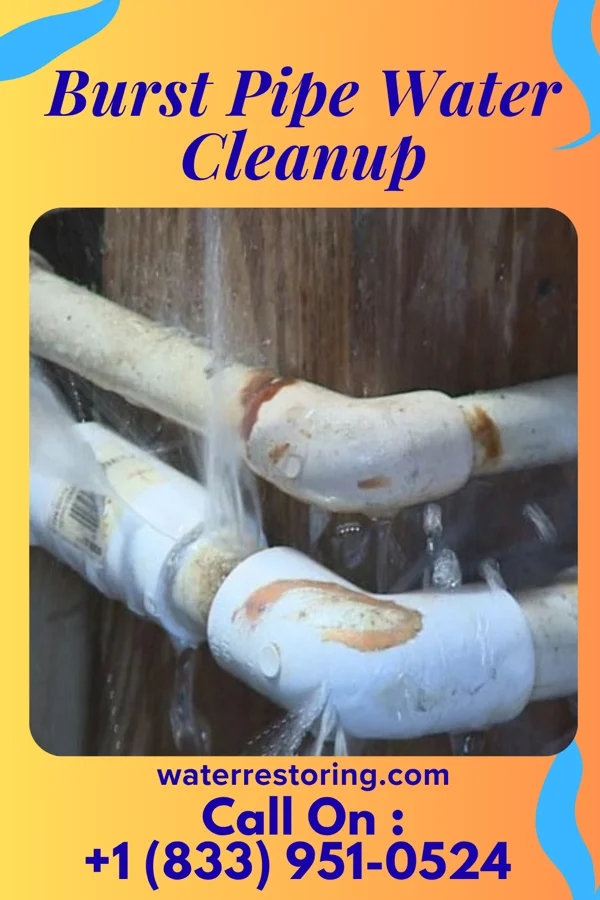 Burst Pipe Water Cleanup in Peninsula, OH