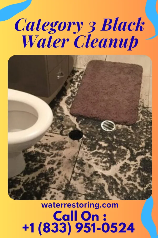 Category 3 Black Water Cleanup in Peninsula, OH