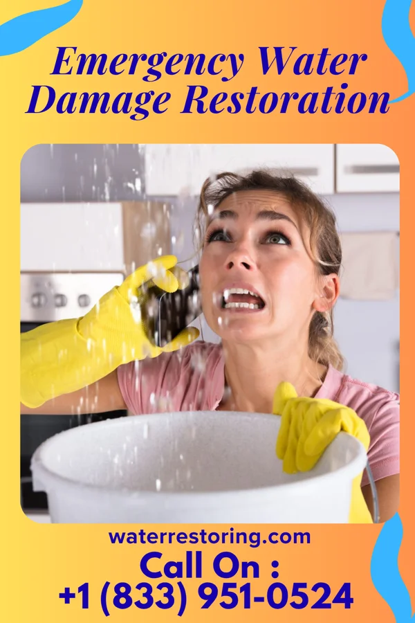Emergency Water Damage Restoration in Peninsula, OH