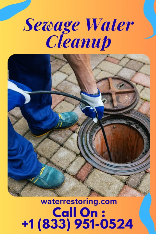 Sewage Water Cleanup in Peninsula, OH